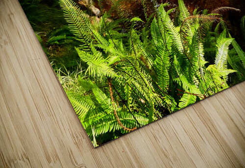 A Secret Summers Retreat in the Scottish Highland Catriona Roberts Nature Photography and Designs puzzle