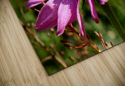 Impressionistic Summer Cone Flower  Catriona Roberts Nature Photography and Designs puzzle