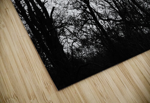 Winters Black and White Trees in the Scottish Highlands Catriona Roberts Nature Photography and Designs puzzle