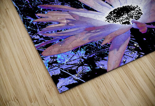 Cool Rocking Surreal Daises  Catriona Roberts Nature Photography and Designs puzzle