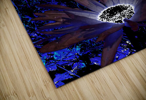 Abstract Vivid Cool Rocking Daises Catriona Roberts Nature Photography and Designs puzzle