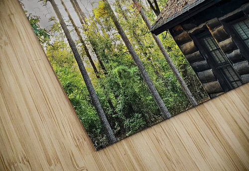 RESPITE CABIN_Holt_RezN888 Charles Holt  RezN888 puzzle