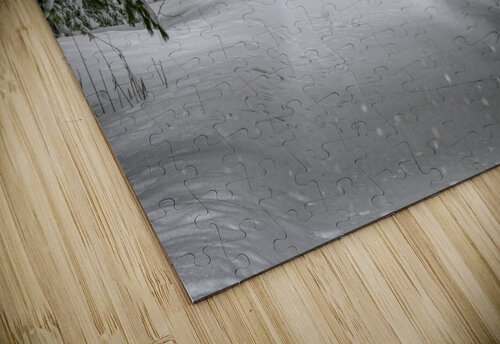 Your Turn to Shovel the Driveway Thea Menagh puzzle