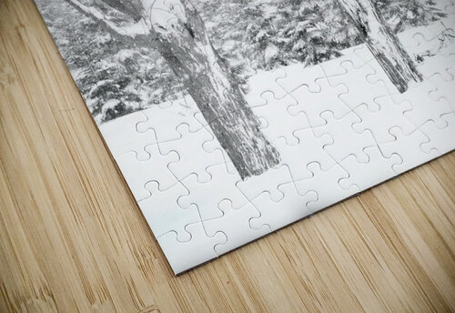 Some trees never give up Thea Menagh puzzle