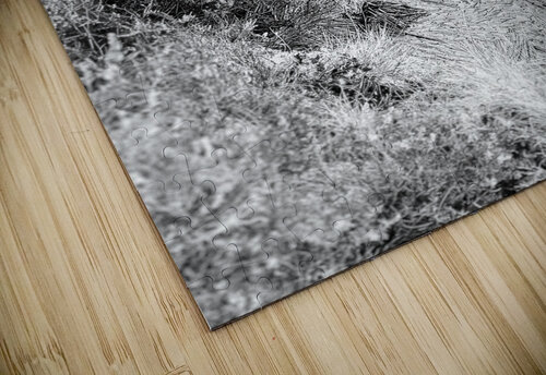 Scenes from the Trail- Monochrome Winter Lochan Reflections Catriona Roberts Nature Photography and Designs puzzle