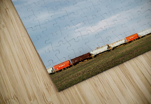 Train Mark Schacter puzzle