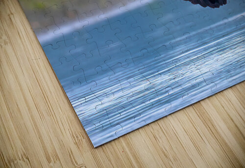 Ruddy Shelduck Saswat Mishra puzzle