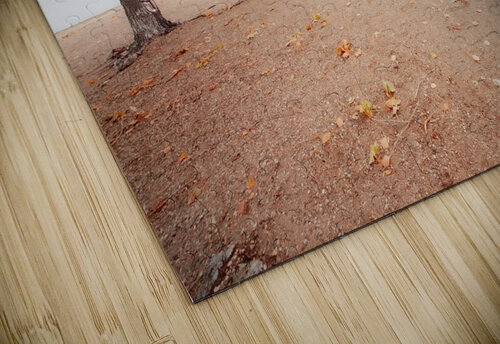 Autumn Landscape 1 Mark Schacter puzzle