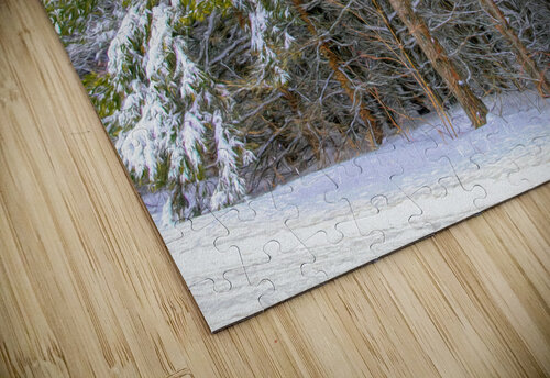 Cold Scotch Pines Thea Menagh puzzle