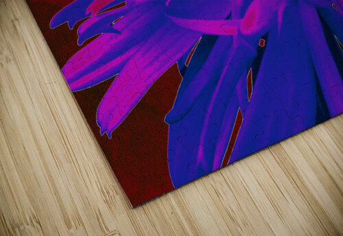 Abstract Purple and Pink Daisy  Catriona Roberts Nature Photography and Designs puzzle