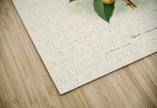 Butterfly MinArtStudios puzzle