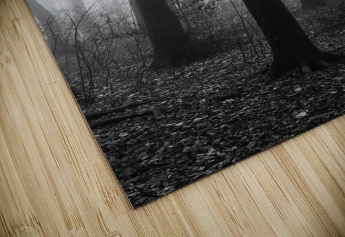 Black and white shot of trees in a forest on a foggy morning  caladoart puzzle