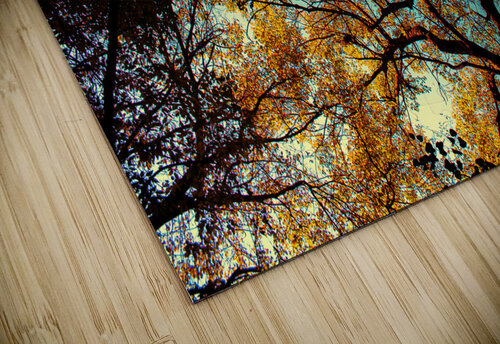 Treetops Susan Diann Photography puzzle