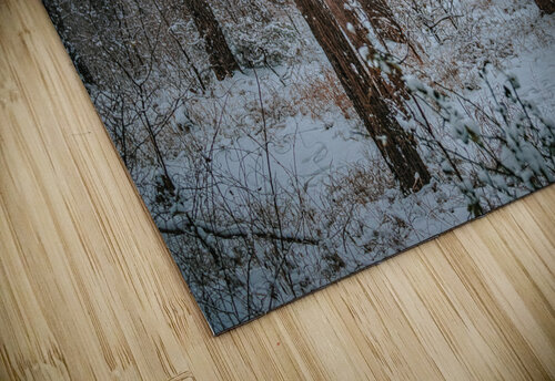 Forest Snowfall Susan Diann Photography puzzle