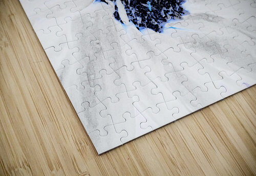 Abstract Contrasting Daisy Catriona Roberts Nature Photography and Designs puzzle