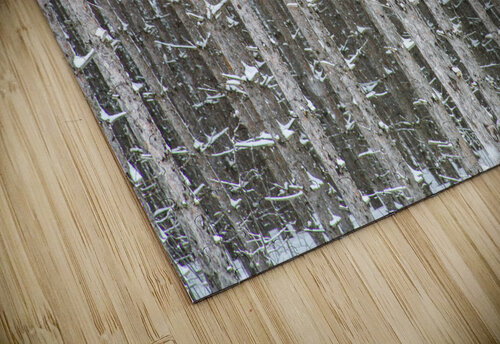 PRICKLY TOGETHERNESS Thea Menagh puzzle