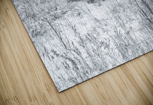 Cloaked In Snow Susan Diann Photography puzzle