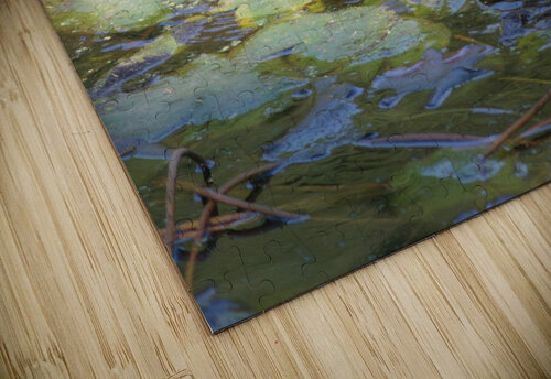 EATING GRASS IN PENNSYLVANIA POND Thea Menagh puzzle