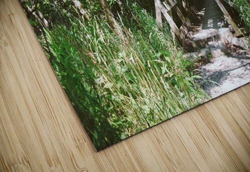 Trail Bridge - 9 Mile Run Millie R Lissow puzzle