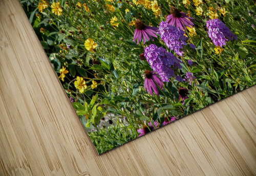 Garden Lost to a Monster Home Thea Menagh puzzle