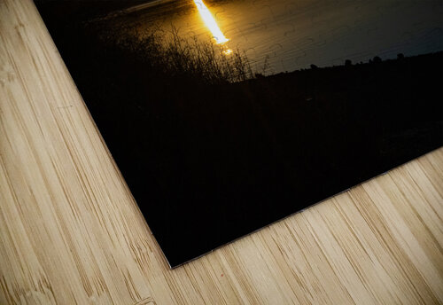 Z72 5637 Wallace puzzle