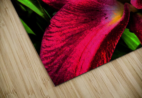 Abstract Lily Flower Close Up  Catriona Roberts Nature Photography and Designs puzzle