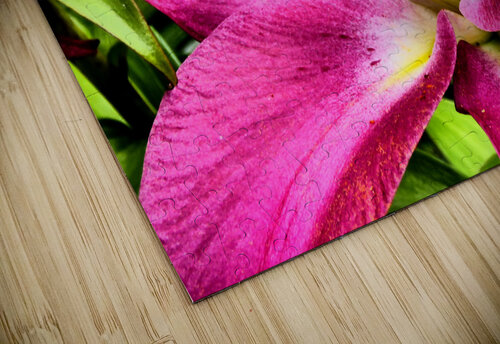 Vibrant Lily Catriona Roberts Nature Photography and Designs puzzle