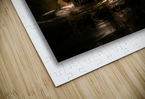 Young Duck Follies Moments By Shane puzzle