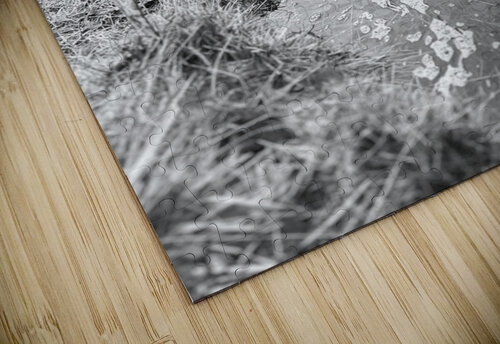 Scenes From the Trail- Calm Waters of the Scottish Highlands Catriona Roberts Nature Photography and Designs puzzle