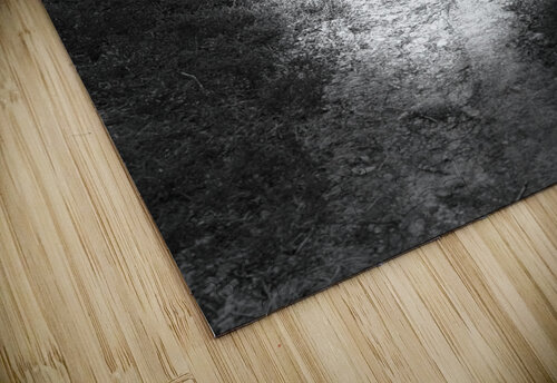 Scenes from the Trail- Forest Walk Through the Scottish Highlands Catriona Roberts Nature Photography and Designs puzzle