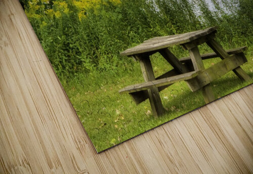 the picnic Joseph Scaglione III puzzle
