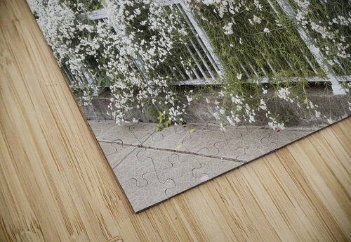 Little Italy Pride of Ownership Thea Menagh puzzle