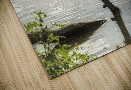 The Driftwood Joseph Scaglione III puzzle
