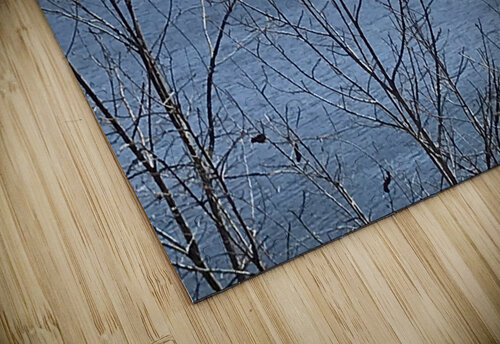 IMG 0110 ZReep puzzle