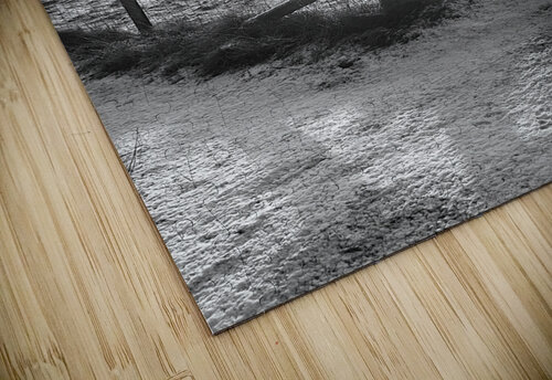 Winters Sunshine for the Scottish Higlands    Catriona Roberts Nature Photography and Designs puzzle