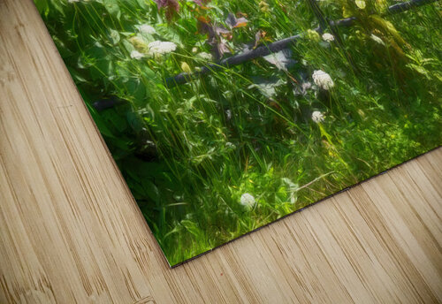 Vintage Iron Fencing Thea Menagh puzzle