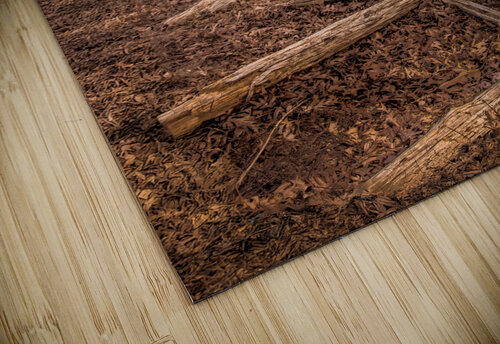 North Carolina Tobacco Barn in Winter Norma Brandsberg Photography puzzle