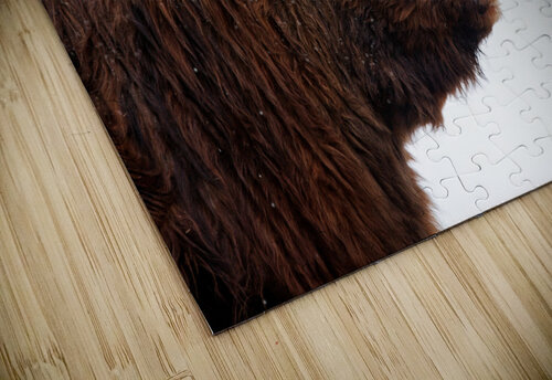 Prince Elze Photographie puzzle