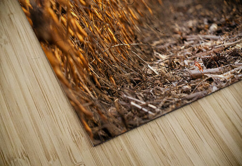 Solitude seche Elze Photographie puzzle