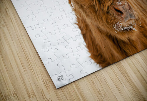 Ginette Elze Photographie puzzle