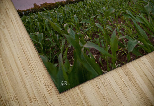 Sunshine blues Elze Photographie puzzle