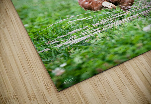 Criquette Elze Photographie puzzle