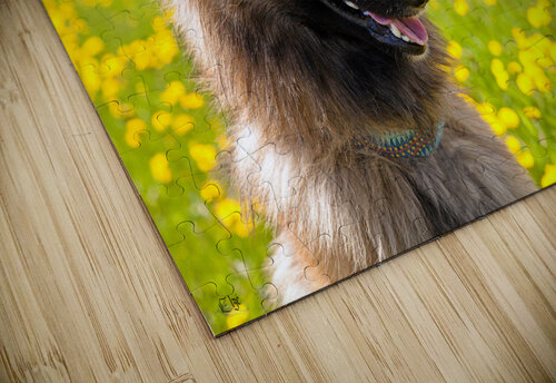 Athena Elze Photographie puzzle