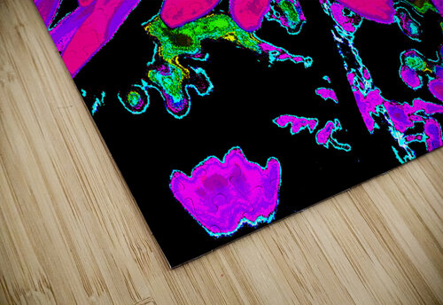 Abstract Neon Contrasting Daises Catriona Roberts Nature Photography and Designs puzzle