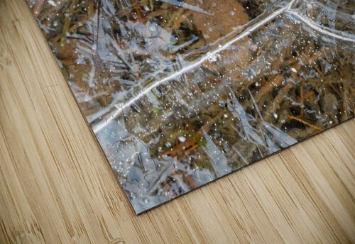 Abstract Ice Patterns Catriona Roberts Nature Photography and Designs puzzle