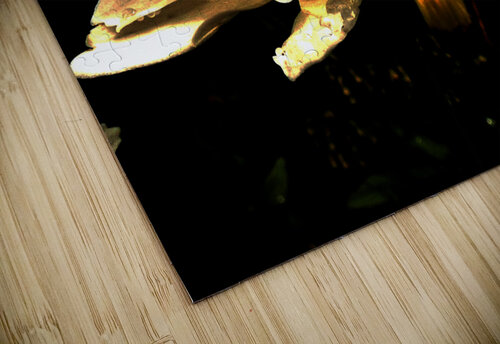 Abstract Daisy Darker Background Catriona Roberts Nature Photography and Designs puzzle