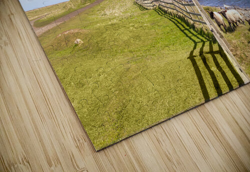 Lindisfarne Castle Holy Island Northumberland UK Travelling Light puzzle