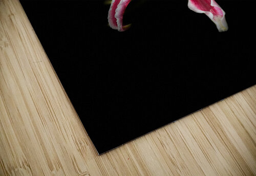 Vibrant Pink Lilies Catriona Roberts Nature Photography and Designs puzzle