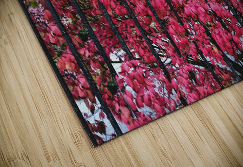 Burning Bush Behind Bars Thea Menagh puzzle