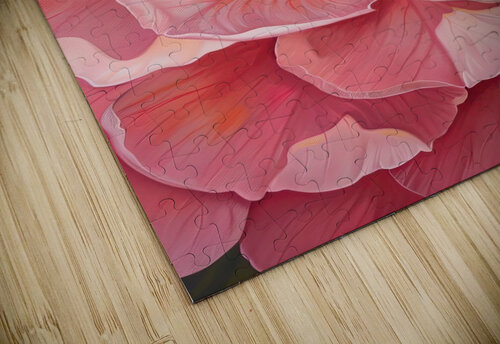 Blooming Coral Heart 2P9H7N 69 Abstract Rebellion puzzle